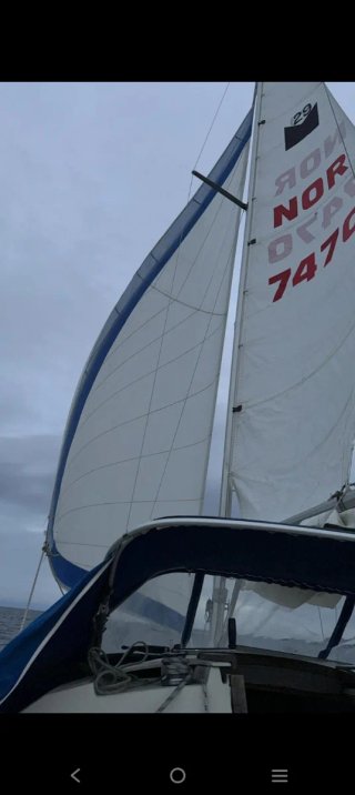 Velero Manba 29 oportunidad unica!!