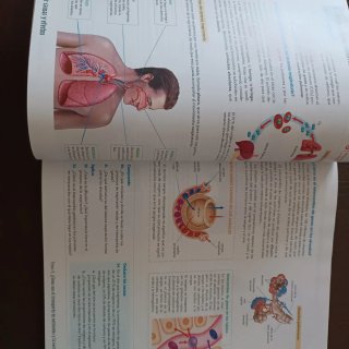BIOLOGIA Y GEOLOGIA 3 (COMUNIDAD EN RED)