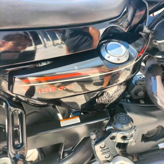 Harley Davidson XR1200 2010