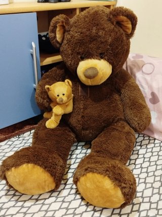 Oso de peluche grande con su pequeñin