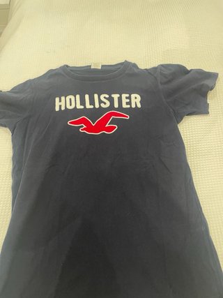 Varias prendas de diferentes marcas camisa,polos..