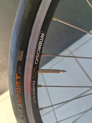 Ruedas Ambrosio Campagnolo con casete de 10