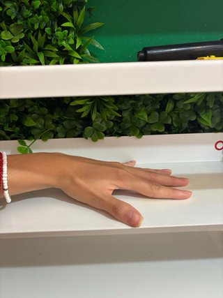 Estantería Decorativa con Plantas Artificiales