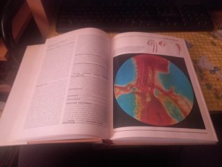 Enciclopedia de medicina y enfermería Mosby