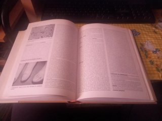Enciclopedia de medicina y enfermería Mosby