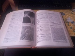Enciclopedia de medicina y enfermería Mosby