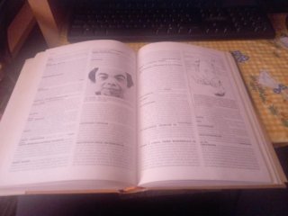 Enciclopedia de medicina y enfermería Mosby