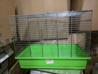 Jaula Cobaya