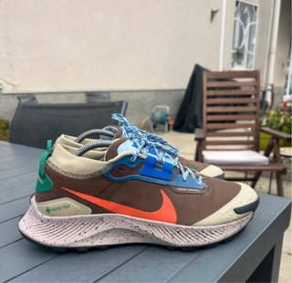 Nike Pegasus Gore-Tex Scarpe Trail Running 44