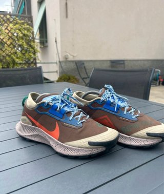 Nike Pegasus Gore-Tex Scarpe Trail Running 44