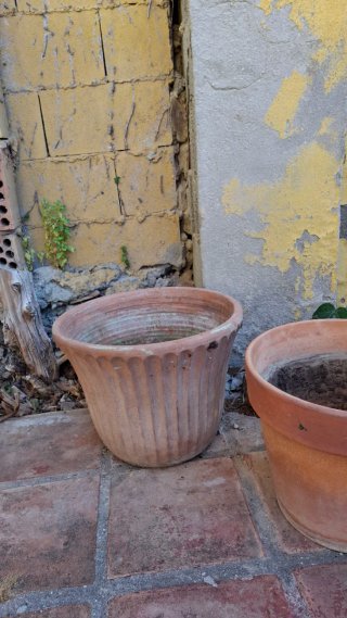 Macetas de terracota