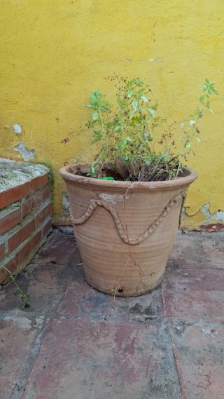 Macetas de terracota