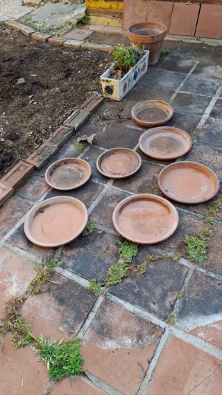 Macetas de terracota