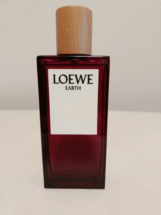 Loewe Earth 100ml EDP
