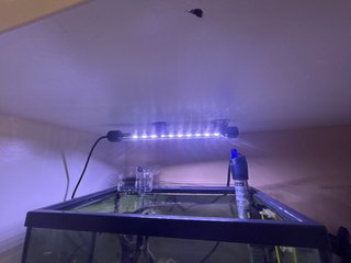 Acuario 15L con filtro y calentador