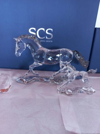 Caballo Esperanza Cristal Swarovski y cria
