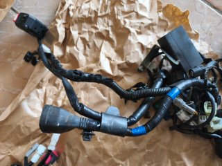 Cableado Yamaha MT 07 2021