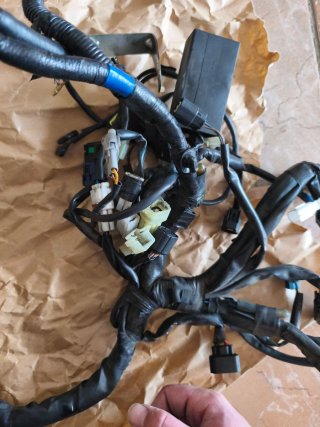Cableado Yamaha MT 07 2021