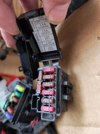 Cableado Yamaha MT 07 2021