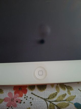 iPad mini 2 Plata
