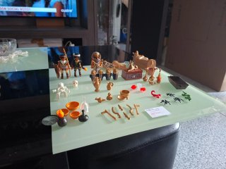 Set Playmobil