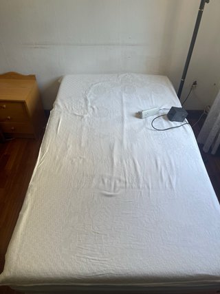 Dos camas completas de descapasedad con mandos