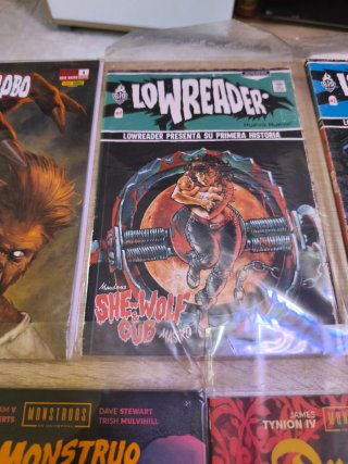 Se vende pack de comics de terror,todos sin usar.