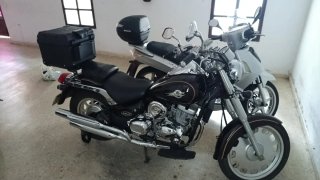 Daelim Daystar 125 Carburación Negra