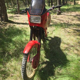 Puch Condor Trail Roja y Dorada