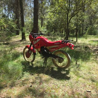 Puch Condor Trail Roja y Dorada