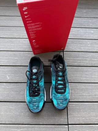 Nike Air Max Plus TN Azul/Verde