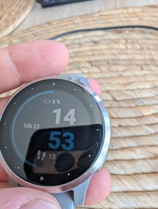Garmin Vivoactive 4S Gris