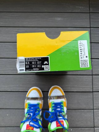 Nike Dunk SB Sandy Bodecker