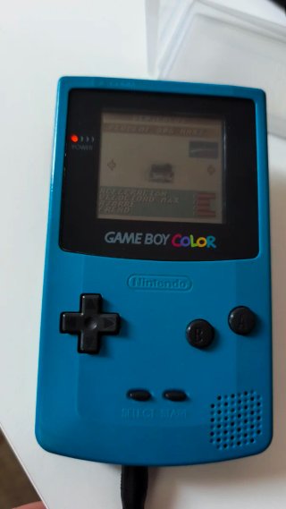 Gameboy Color juegos, funda, camara y alimentador