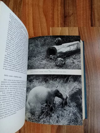 Lote 2 libros Vida Animal (Brehm Ilustrado)
