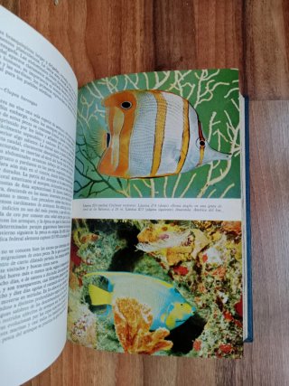 Lote 2 libros Vida Animal (Brehm Ilustrado)