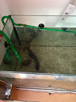 Acuario con base blanca, de 100 litros.