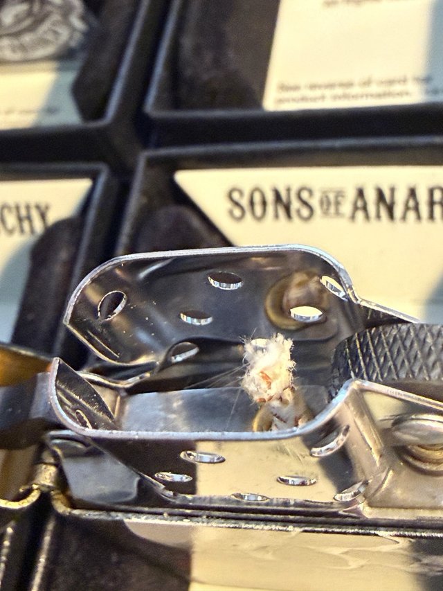 Zippo Sons of Anarchy Calavera