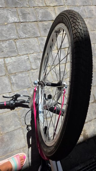 Bicicleta niña B-Pro 20 pulgadas