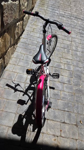Bicicleta niña B-Pro 20 pulgadas