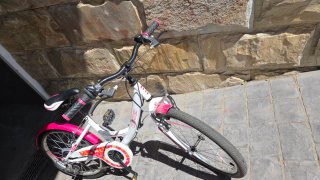 Bicicleta niña B-Pro 20 pulgadas