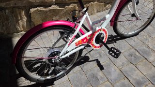 Bicicleta niña B-Pro 20 pulgadas