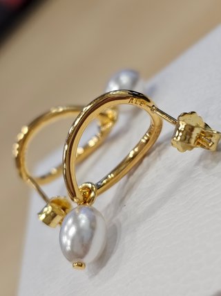 Pendientes Pandora Círculo Orgánico Dorado