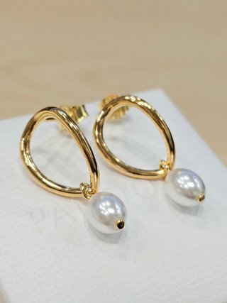 Pendientes Pandora Círculo Orgánico Dorado