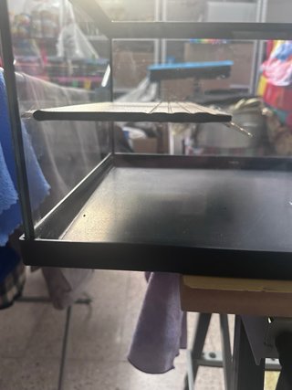 Terrario para tortugas Venta solo en gran canaria