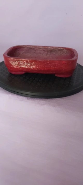Vaso Bonsai "Tree"