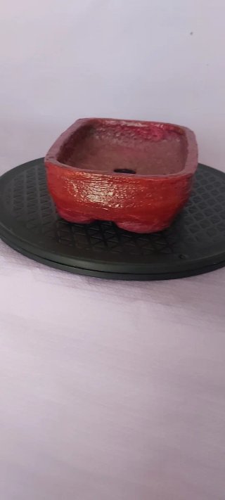 Vaso Bonsai "Tree"