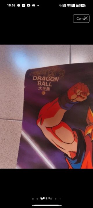 Póster Dragon Ball Z