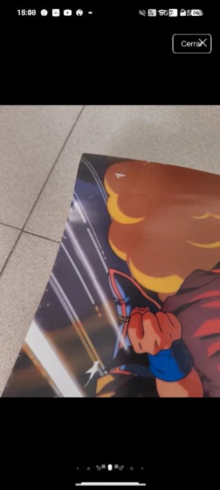 Póster Dragon Ball Z