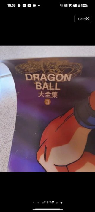 Póster Dragon Ball Z